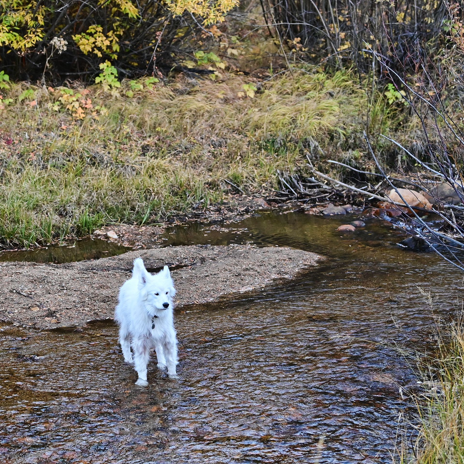 Isaac in the Highlands