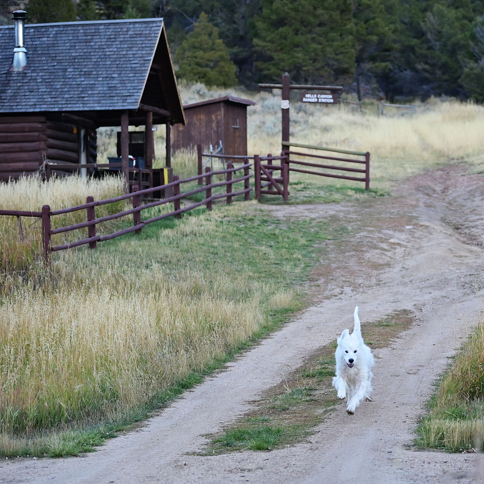 Isaac in the Highlands