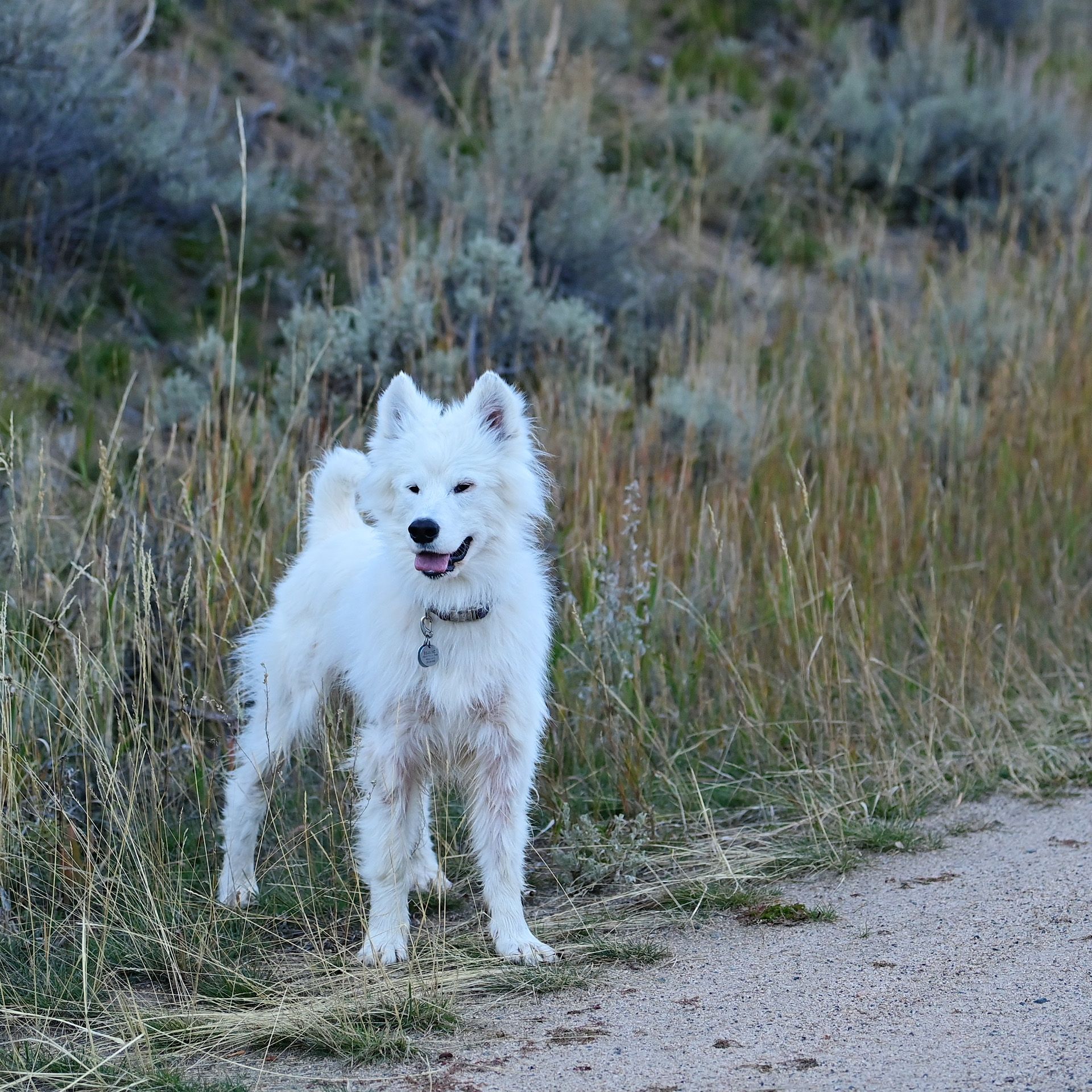 Isaac in the Highlands