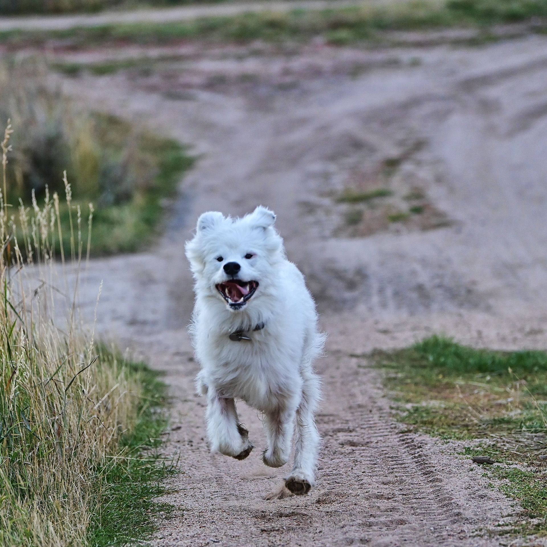 Isaac in the Highlands