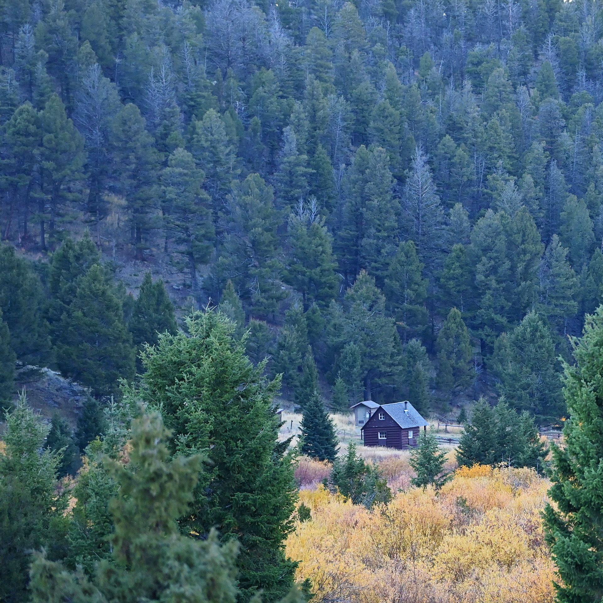 Isaac in the Highlands