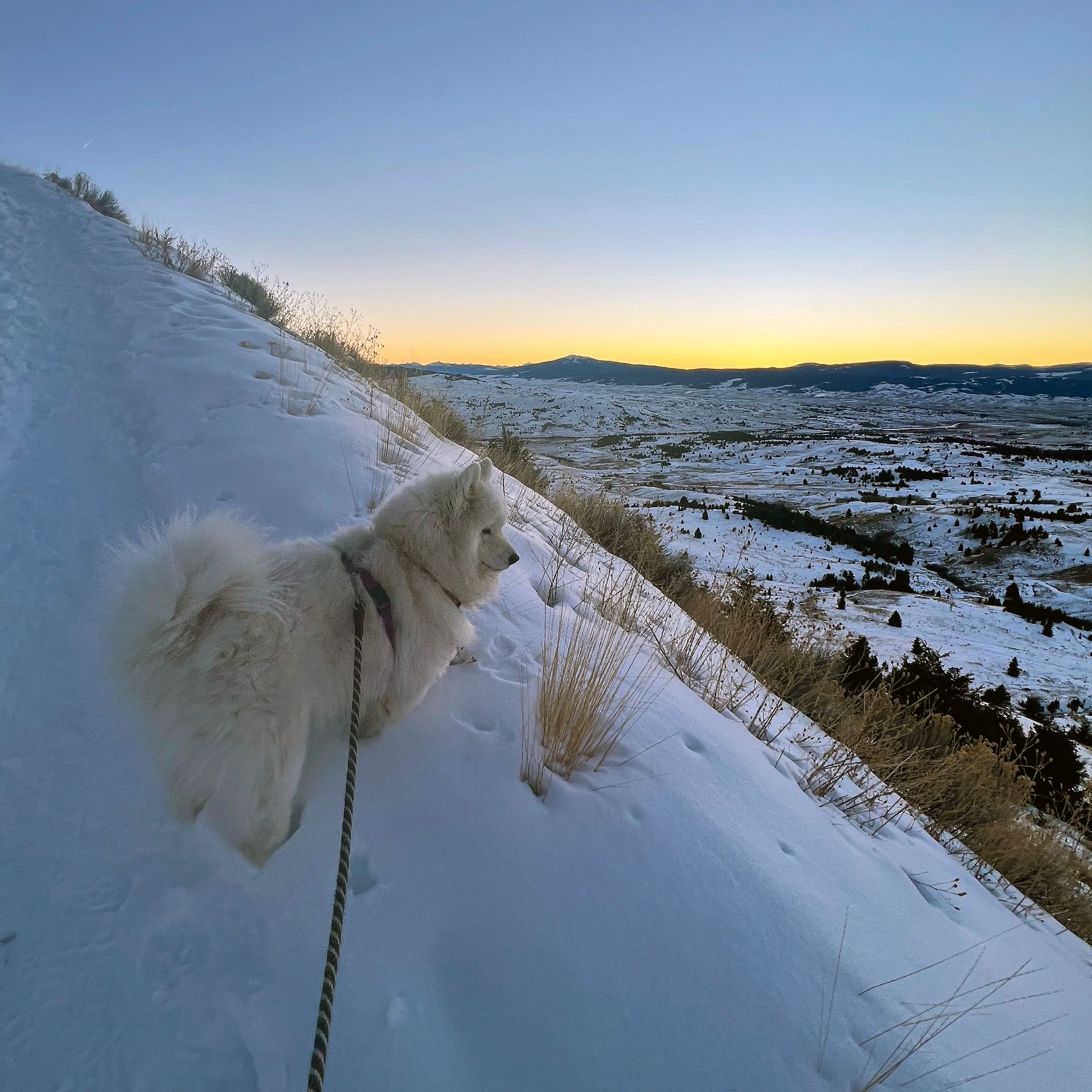 Big Butte