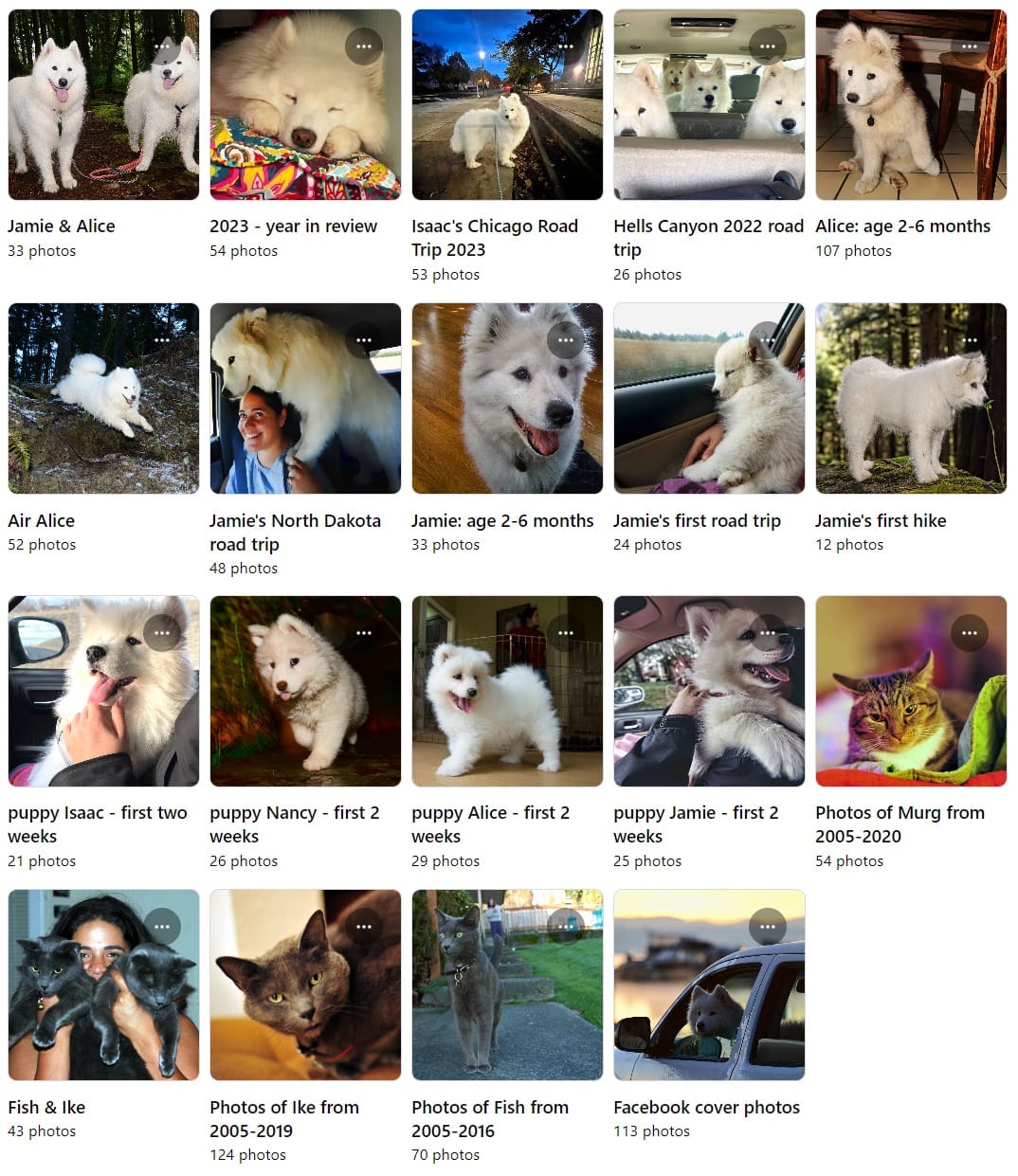 Jamie Samoyed's Pack