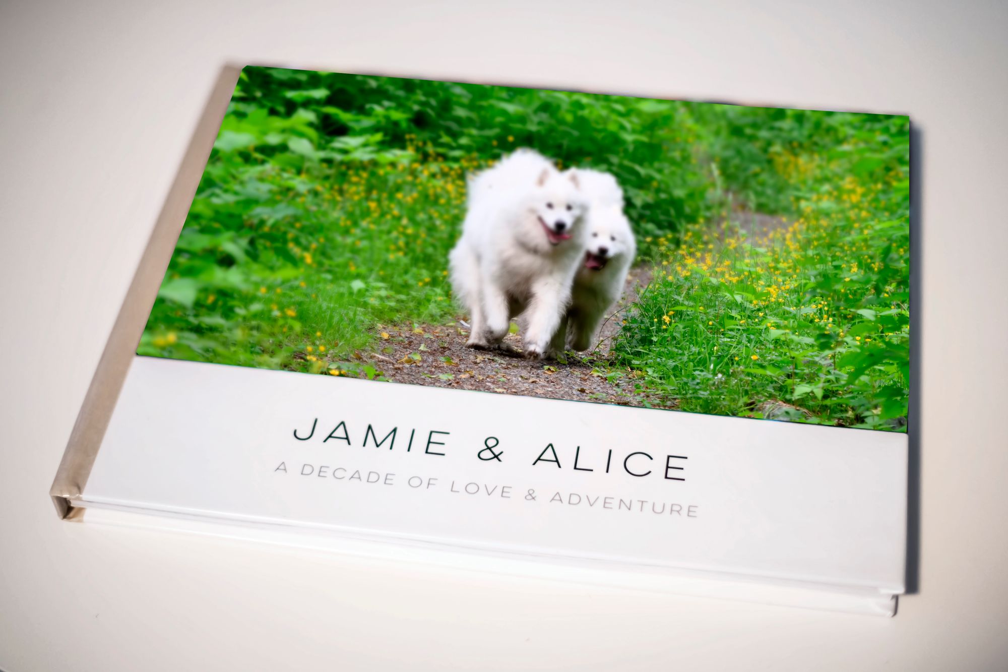 A decade of Jamie & Alice