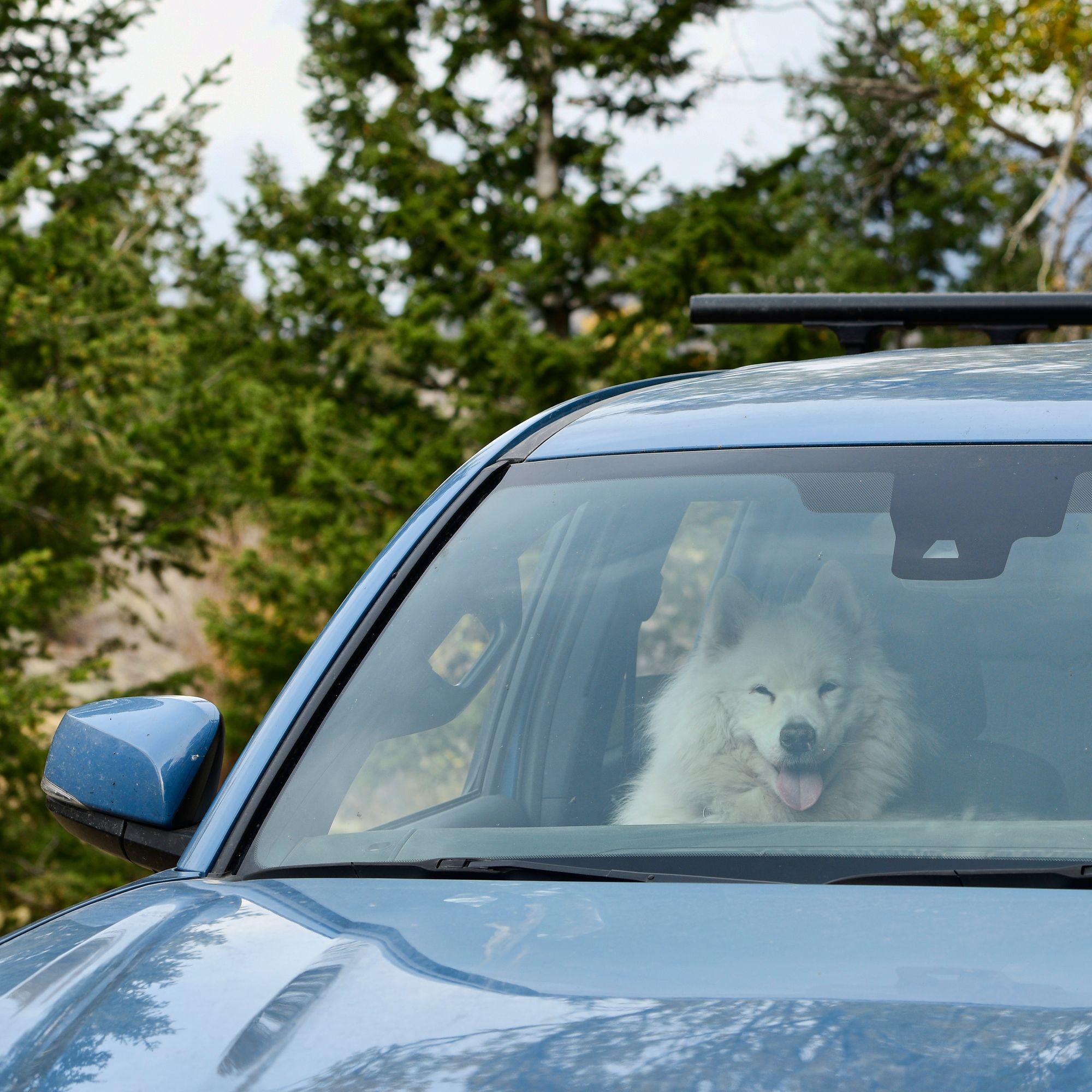 Exploring the Highlands