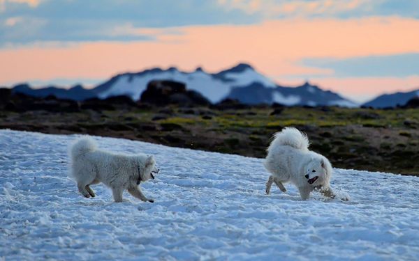 Beartooth Plateau photos