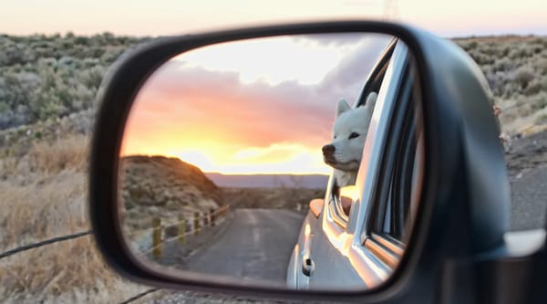 Jamie's Highway